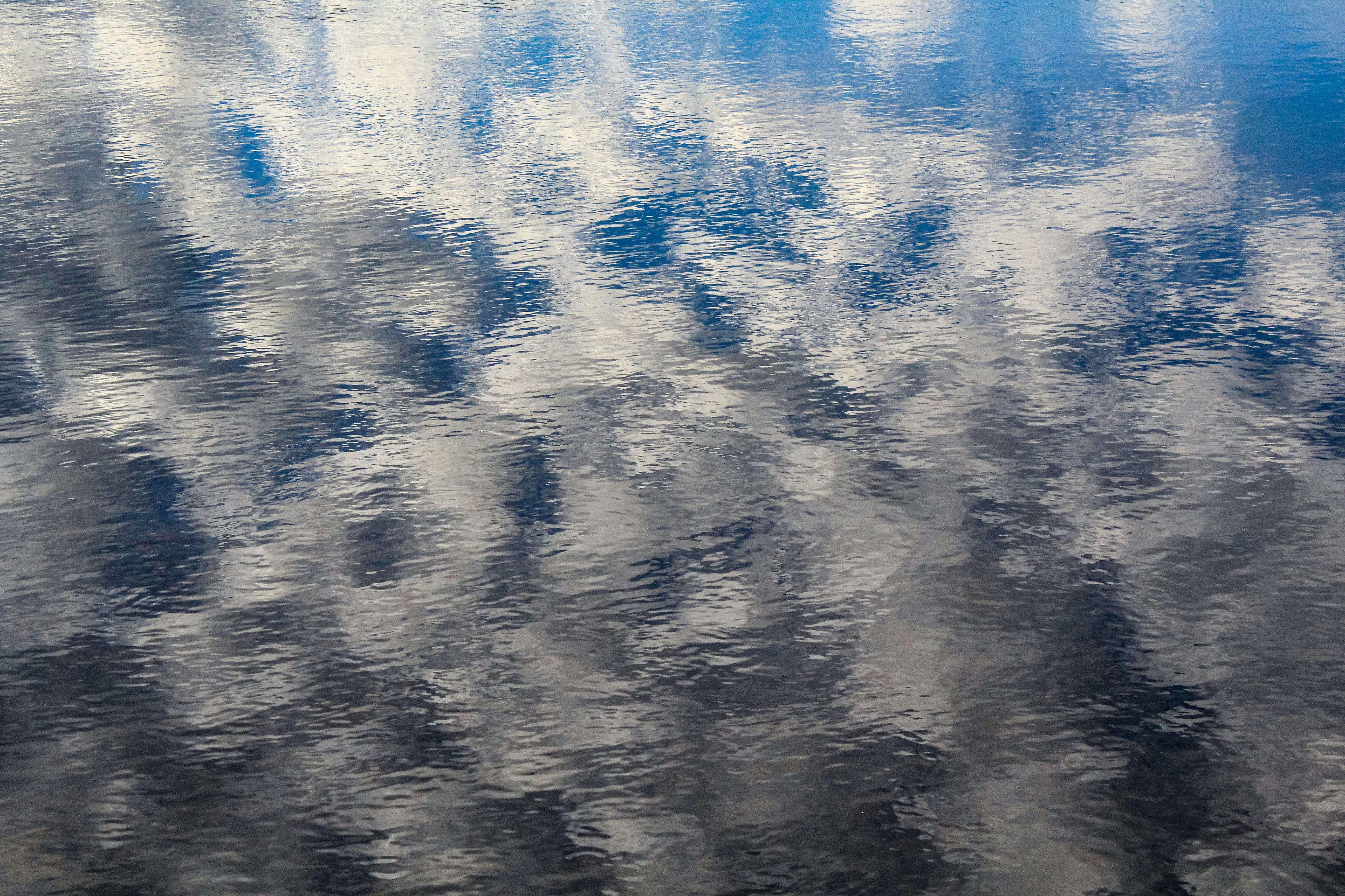 Image by Andrew Tom on Unsplash